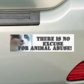 Autocollant De Voiture Aucun abus animal Kitty triste (En voiture)
