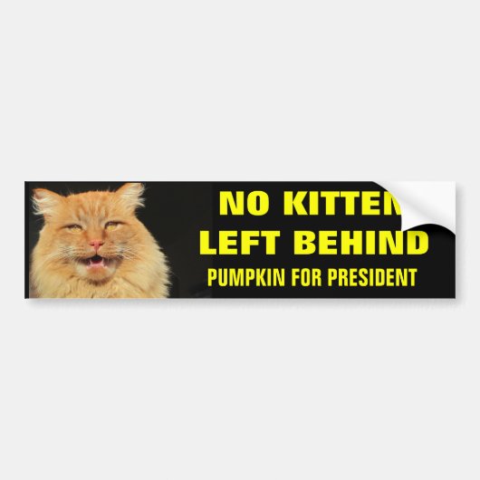 Autocollant De Voiture Aucun chaton laissé audacieux (Devant)