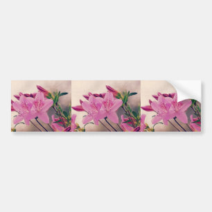 Autocollant De Voiture Azaleas