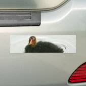Autocollant De Voiture Baby Moorhens (En voiture)