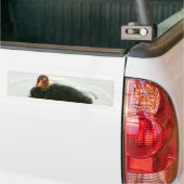 Autocollant De Voiture Baby Moorhens (Sur camion)