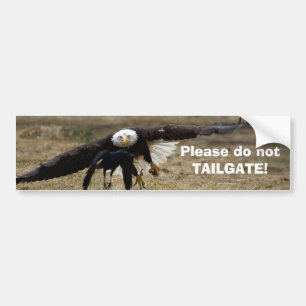 Autocollant De Voiture Bald Eagle et Raven Chase Funny Bumpersticker