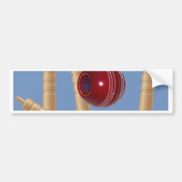 Balle Et Pompes De Cricket,