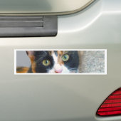 Autocollant De Voiture Bandit (En voiture)