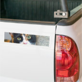 Autocollant De Voiture Bandit (Sur camion)
