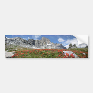 Autocollant De Voiture Banner Peak Fleurs sauvages - Ansel Adams Wilderne
