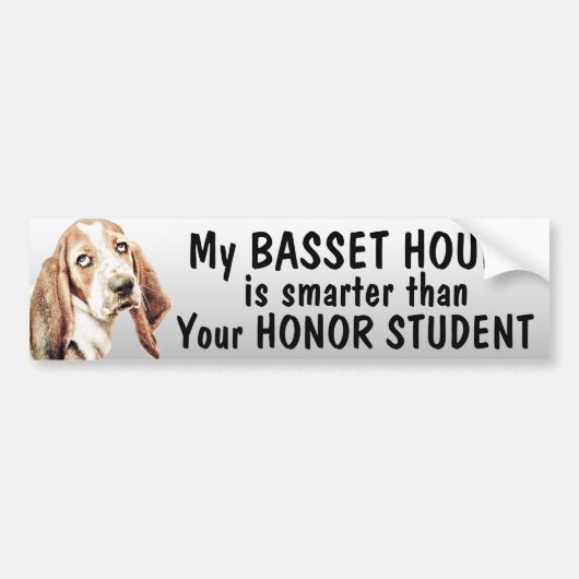 Autocollant De Voiture Basset Hound est plus futé que l'étudiant (Devant)