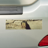 Autocollant De Voiture Bat (En voiture)