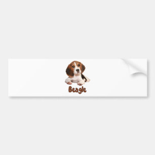Autocollant De Voiture Beagle !