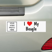 Autocollant De Voiture Beagle (En voiture)