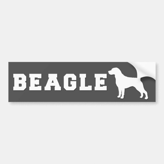 Autocollant De Voiture Beagle d'adhésif pour pare-chocs - gris (Devant)