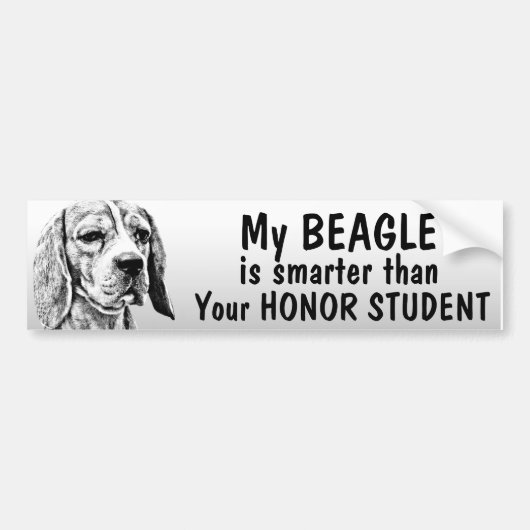 Autocollant De Voiture Beagle - plus futé que l'étudiant d'honneur - (Devant)