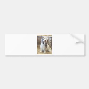 Autocollant De Voiture Bearded Collie