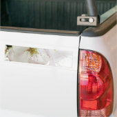Autocollant De Voiture Beau blanc (Sur camion)
