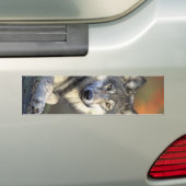 Autocollant De Voiture Beau loup (En voiture)