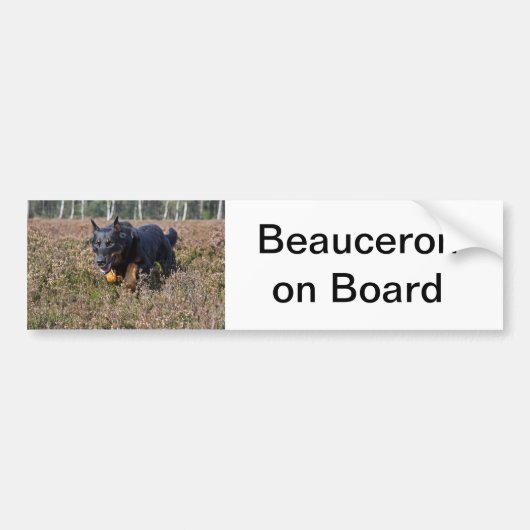 Autocollant De Voiture beauceron d'adhésif pour pare-chocs (Devant)