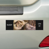Autocollant De Voiture Beauté dormante (En voiture)