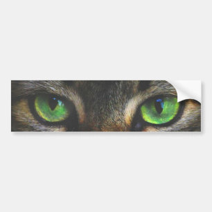 Autocollant De Voiture Beaux yeux de chat Tabby