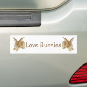 AUTOCOLLANT DE VOITURE BÉBÉ BUNNY (En voiture)