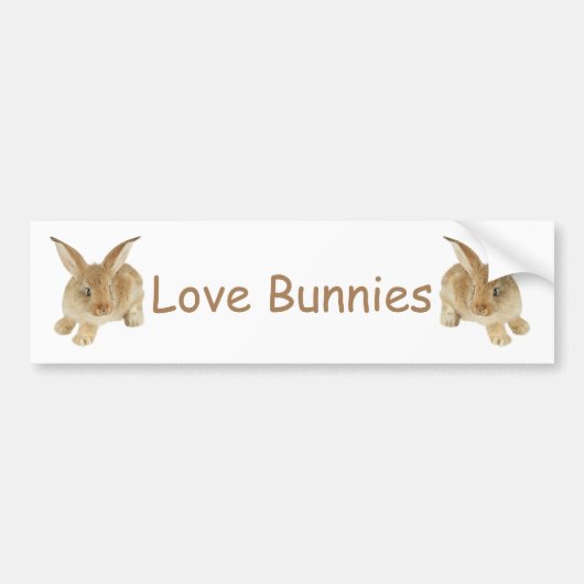 AUTOCOLLANT DE VOITURE BÉBÉ BUNNY (Devant)