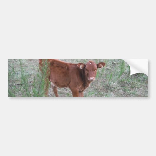 Autocollant De Voiture Bébé vache Brown. (Devant)