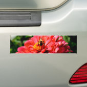 Autocollant De Voiture Bee and coral zinnia (En voiture)