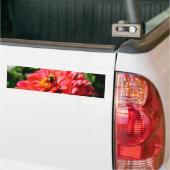Autocollant De Voiture Bee and coral zinnia (Sur camion)