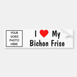 Autocollant De Voiture Bichon Frise