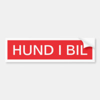 Bil de Hund i