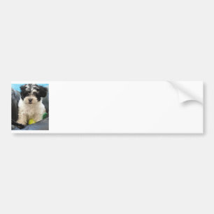 Autocollant De Voiture Blanc de noir de chiot de délivrance de Havanese