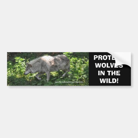 Autocollant De Voiture BLANC WOLF Wildlife Conservation Bumper sticker (Devant)