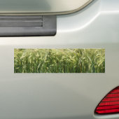 Autocollant De Voiture Blé - beau ! (En voiture)