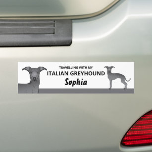 Autocollant De Voiture Bleu - Voyager avec mon chien gris italien