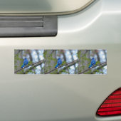 Autocollant De Voiture Blue Jay (En voiture)
