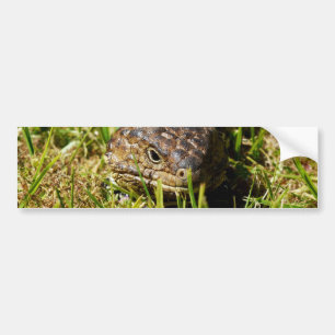 Autocollant De Voiture Blue Tongue Lizard Creeping