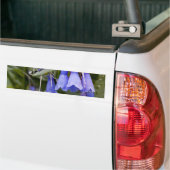 Autocollant De Voiture Bluebells (Sur camion)