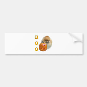 Autocollant De Voiture Boo de Poméranie