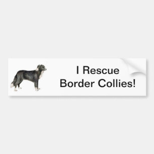 Autocollant De Voiture Border collie