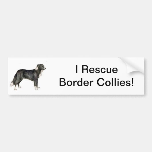 Autocollant De Voiture Border collie (Devant)