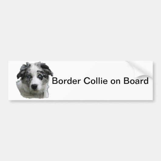 Autocollant De Voiture Border collie (Devant)