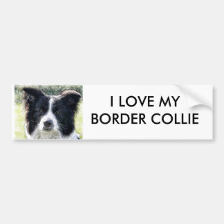 Autocollant De Voiture Border collie