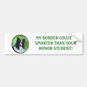 Autocollant De Voiture Border collie