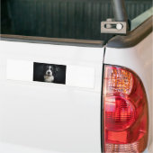 Autocollant De Voiture border collie (Sur camion)