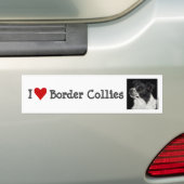 Autocollant De Voiture Bordure Collie Bumper Sticker - "Ben" (En voiture)