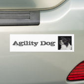 Autocollant De Voiture Bordure Collie Bumper Sticker - "Ben" 3 (En voiture)