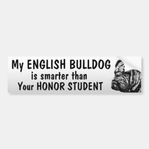 Autocollant De Voiture Bouledogue anglais - plus futé que l'étudiant -
