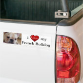 Autocollant De Voiture Bouledogue français (Sur camion)