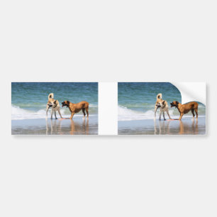 Autocollant De Voiture Boxeur et copain - était-il qu'un dauphin ?