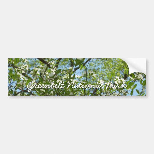 Autocollant De Voiture Branche of Dogwood Blossoms Spring Trees (Devant)