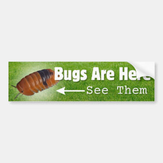 Autocollant De Voiture Bugs Are Here...Isopod Edition Bumper Sticker